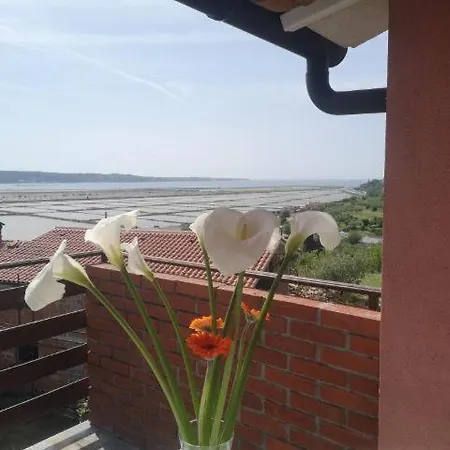 Apartment Apartma Aleksander Portoroz